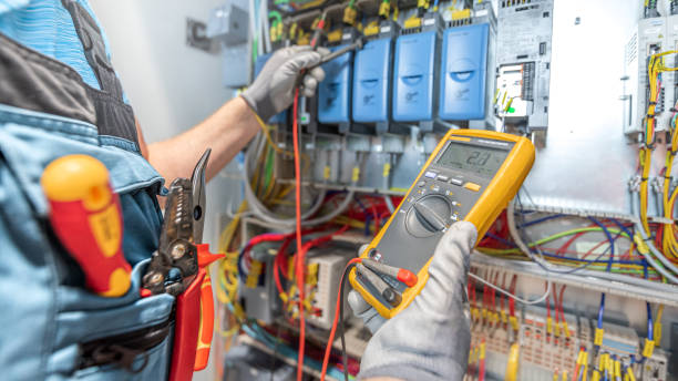 Best Electrical System Inspection  in Elba, AL