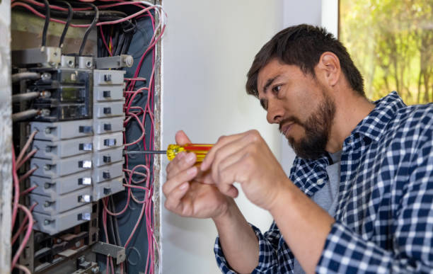 Best Electric Panel Repair  in Elba, AL